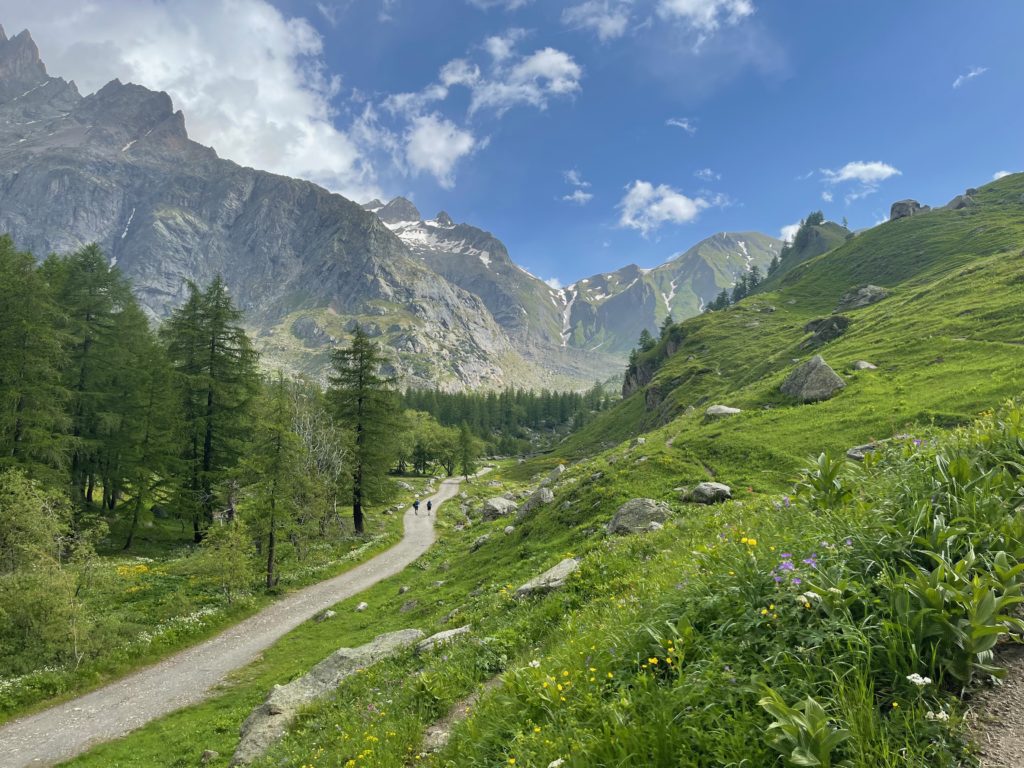 Trail from Chalet Val Ferret