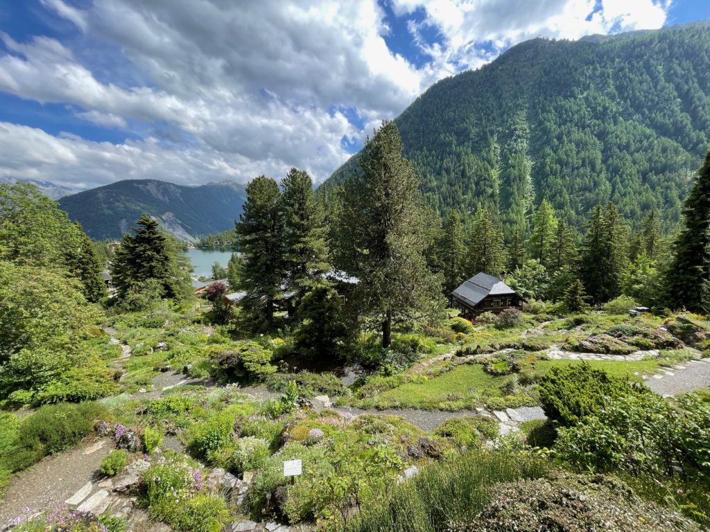 Flore Alpe botanical garden and Champex Lac in the background