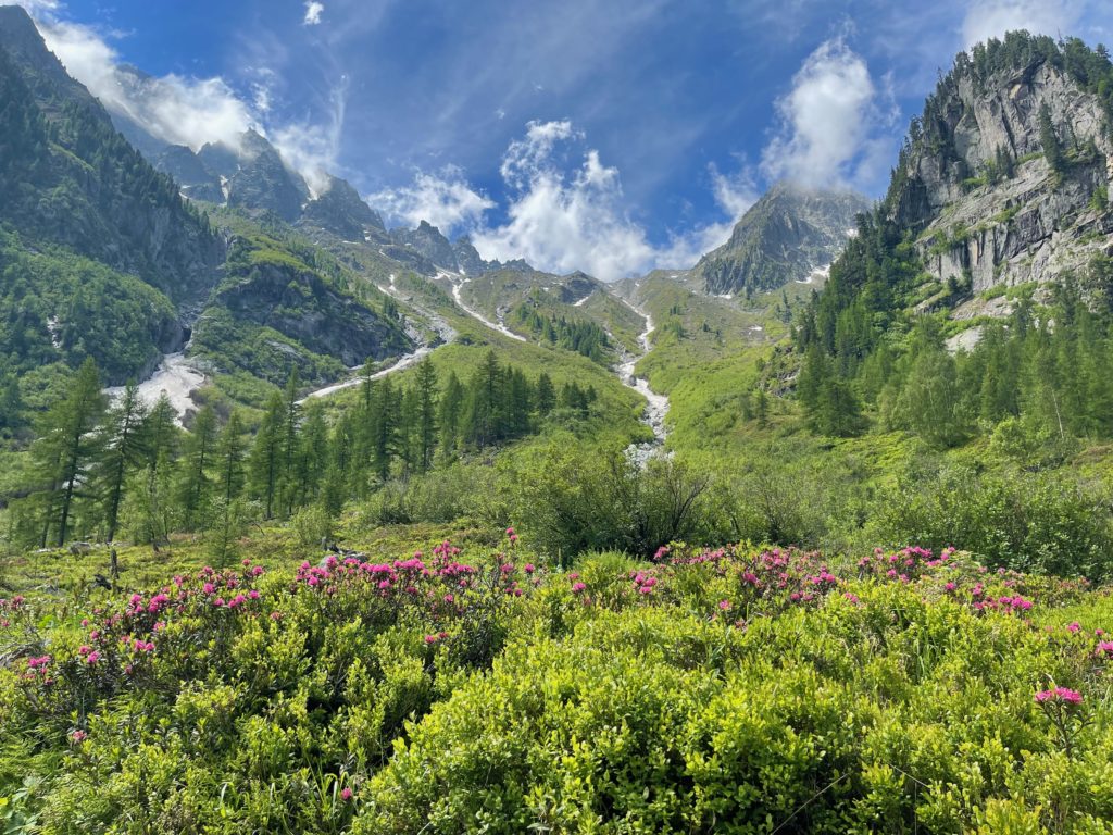 View towrads Fenetre d'Arpette