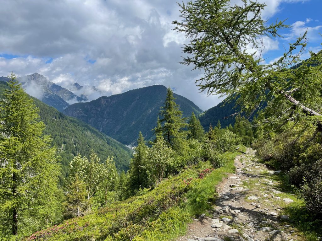 View towards Col de Balme